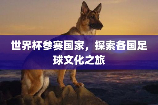 世界杯参赛国家，探索各国足球文化之旅