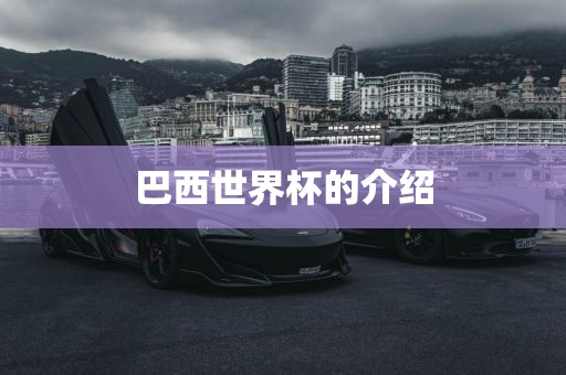 巴西世界杯的介绍