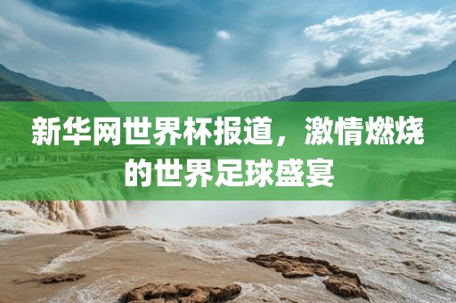 新华网世界杯报道，激情燃烧的世界足球盛宴