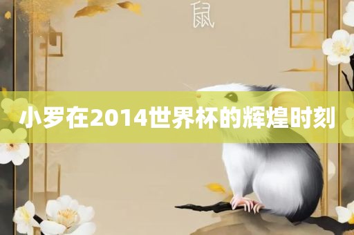 小罗在2014世界杯的辉煌时刻