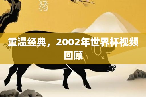 重温经典，2002年世界杯视频回顾