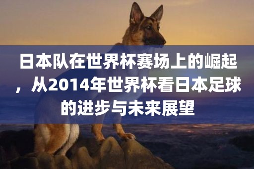 日本队在世界杯赛场上的崛起，从2014年世界杯看日本足球的进步与未来展望
