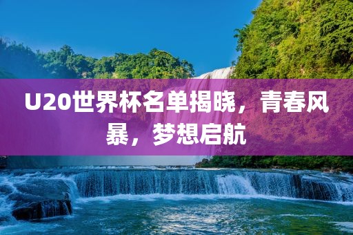 U20世界杯名单揭晓，青春风暴，梦想启航