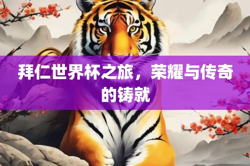 拜仁世界杯之旅，荣耀与传奇的铸就