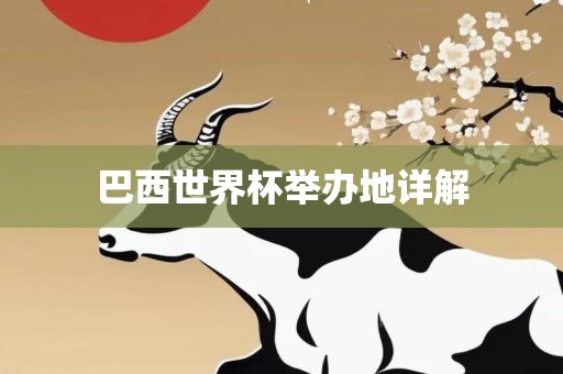 巴西世界杯举办地详解