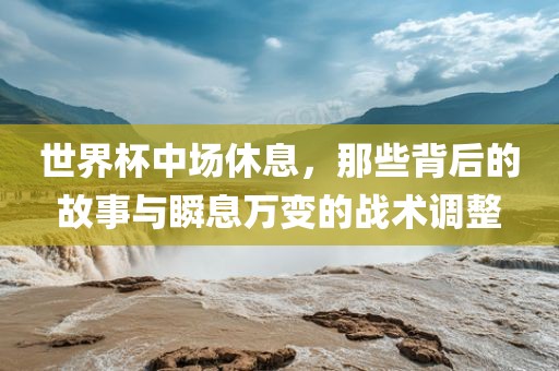 世界杯中场休息，那些背后的故事与瞬息万变的战术调整