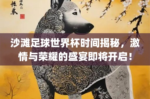 沙滩足球世界杯时间揭秘，激情与荣耀的盛宴即将开启！