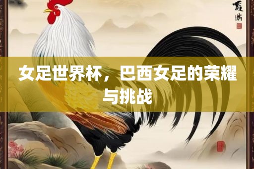 女足世界杯，巴西女足的荣耀与挑战