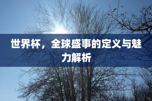 世界杯，全球盛事的定义与魅力解析金炬实业股份有限公司
