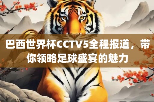 巴西世界杯CCTV5全程报道，带你领略足球盛宴的魅力