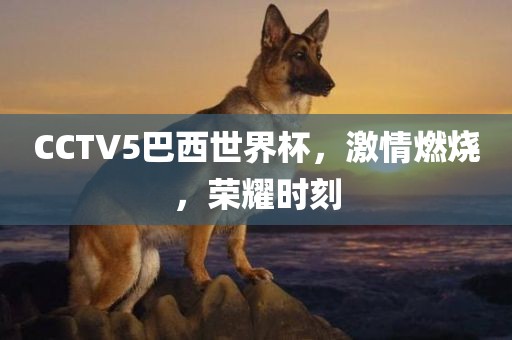 CCTV5巴西世界杯，激情燃烧，荣耀时刻