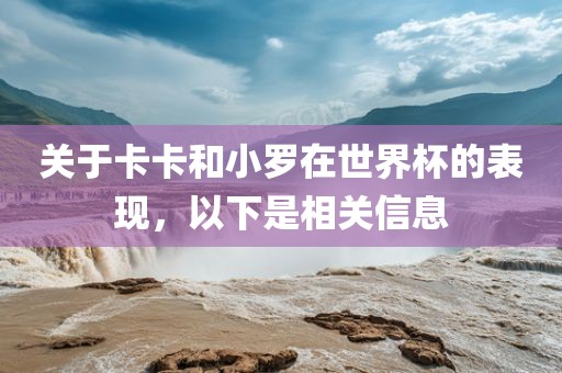关于卡卡和小罗在世界杯的表现，以下是相关信息