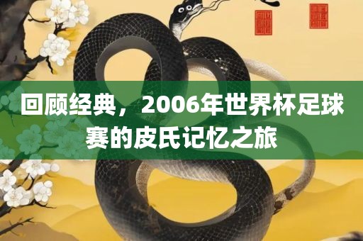 回顾经典，2006年世界杯足球赛的皮氏记忆之旅