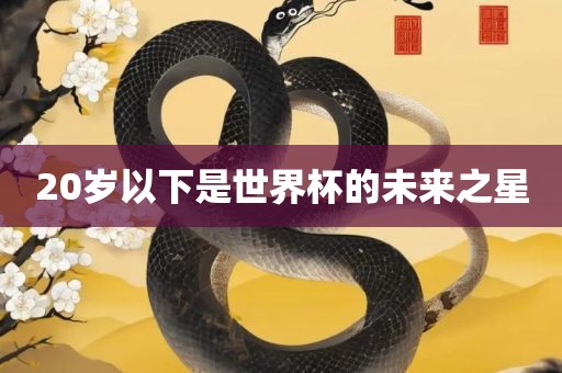 20岁以下是世界杯的未来之星