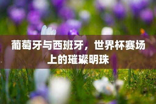 葡萄牙与西班牙，世界杯赛场上的璀璨明珠