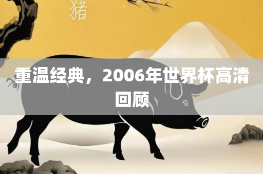 重温经典，2006年世界杯高清回顾