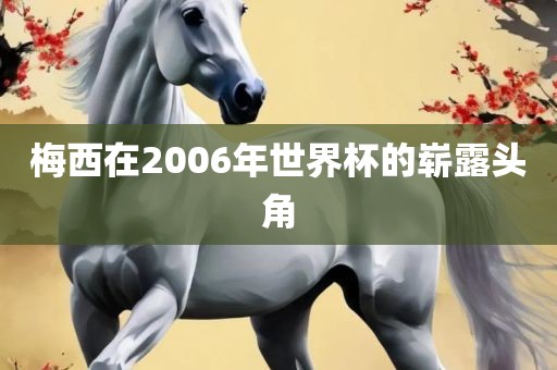 梅西在2006年世界杯的崭露头角金炬实业股份有限公司