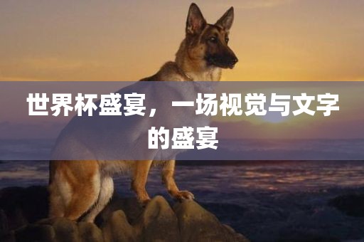 世界杯盛宴，一场视觉与文字的盛宴