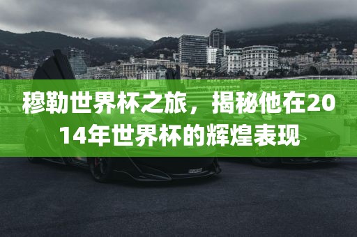 穆勒世界杯之旅，揭秘他在2014年世界杯的辉煌表现