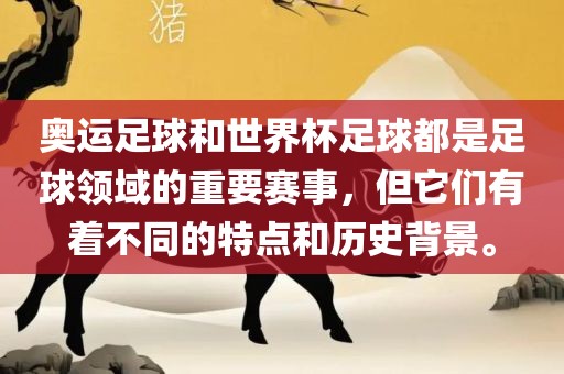 奥运足球和世界杯足球都是足球领域的重要赛事，但它们有着不同的特点和历史背景。