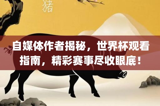 自媒体作者揭秘，世界杯观看指南，精彩赛事尽收眼底！