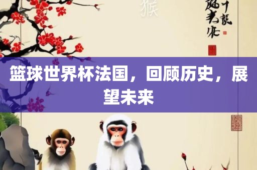 篮球世界杯法国，回顾历史，展望未来