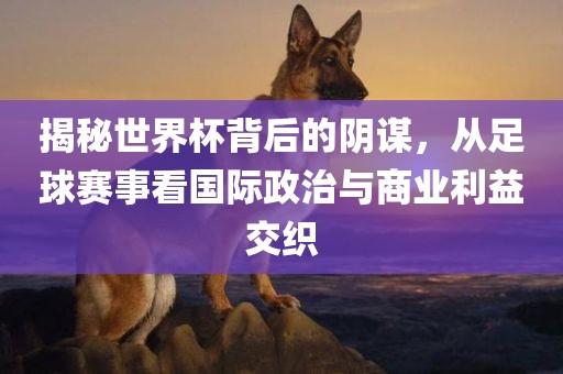 揭秘世界杯背后的阴谋，从足球赛事看国际政治与商业利益交织金炬实业股份有限公司
