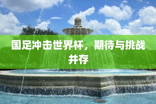 国足冲击世界杯，期待与挑战并存