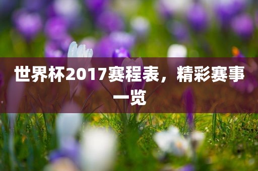 世界杯2017赛程表，精彩赛事一览