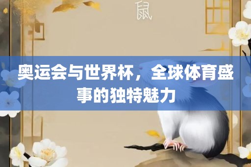 奥运会与世界杯，全球体育盛事的独特魅力
