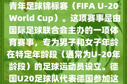德国U20足球队参加的是U20世界杯足球赛，也被称为世界青年足球锦标赛（FIFA U-20 World Cup）。这项赛事是由国际足球联合会主办的一项体育赛事，专为男子和女子年龄在特定年龄段（通常为U-20年龄段）的足球运动员设立。德国U20足球队代表德国参加这项赛事，旨在展示德国青年足球的潜力和实力。