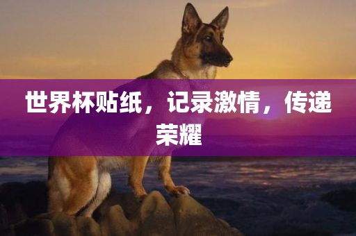 世界杯贴纸，记录激情，传递荣耀