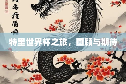 特里世界杯之旅，回顾与期待