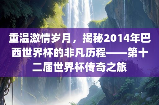 重温激情岁月，揭秘2014年巴西世界杯的非凡历程——第十二届世界杯传奇之旅