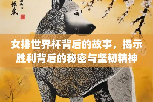 女排世界杯背后的故事，揭示胜利背后的秘密与坚韧精神