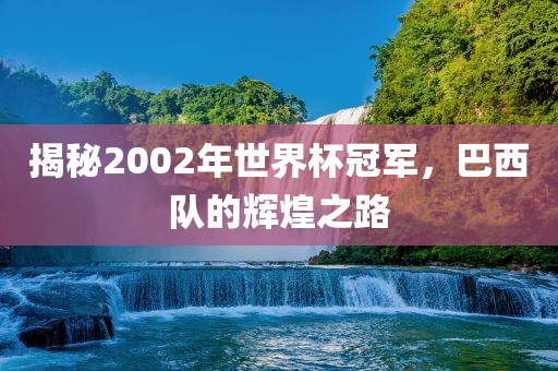 揭秘2002年世界杯冠军，巴西队的辉煌之路