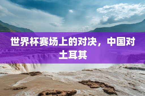 世界杯赛场上的对决，中国对土耳其