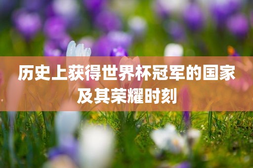 历史上获得世界杯冠军的国家及其荣耀时刻
