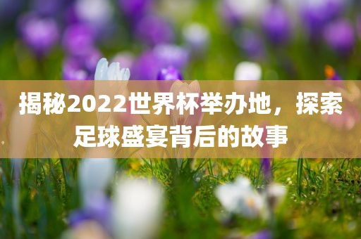 揭秘2022世界杯举办地，探索足球盛宴背后的故事