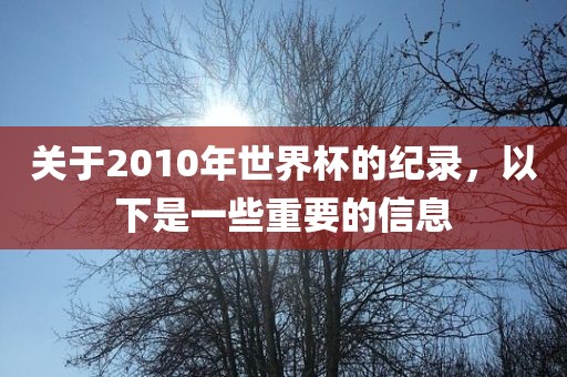 关于2010年世界杯的纪录，以下是一些重要的信息