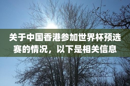 关于中国香港参加世界杯预选赛的情况，以下是相关信息