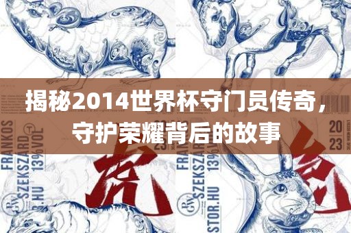 揭秘2014世界杯守门员传奇，守护荣耀背后的故事