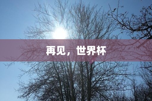 再见，世界杯