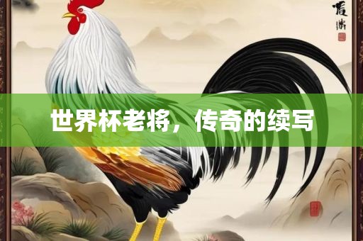 世界杯老将，传奇的续写