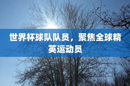 世界杯球队队员，聚焦全球精英运动员