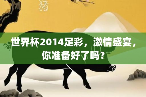 世界杯2014足彩，激情盛宴，你准备好了吗？