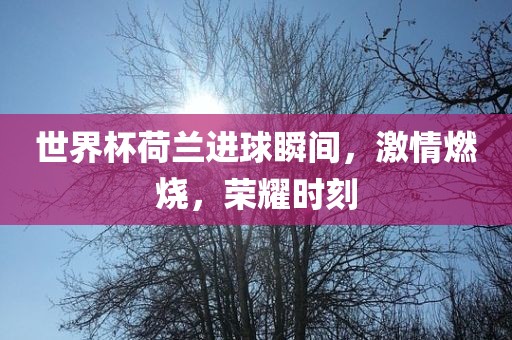 世界杯荷兰进球瞬间，激情燃烧，荣耀时刻