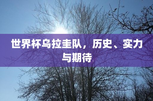 世界杯乌拉圭队，历史、实力与期待