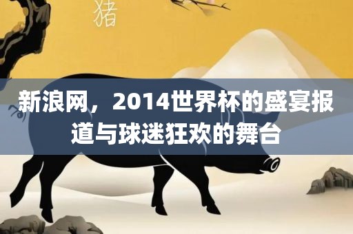 新浪网，2014世界杯的盛宴报道与球迷狂欢的舞台