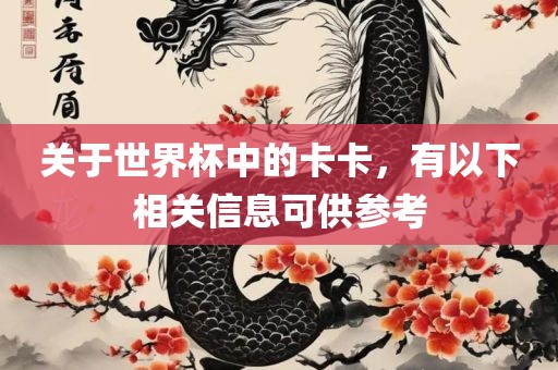 关于世界杯中的卡卡，有以下相关信息可供参考